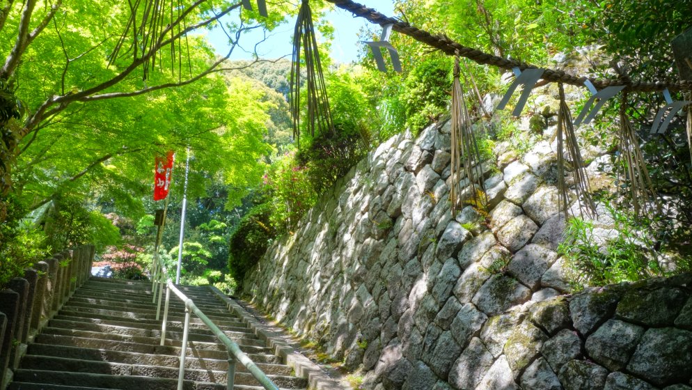 夏の石段